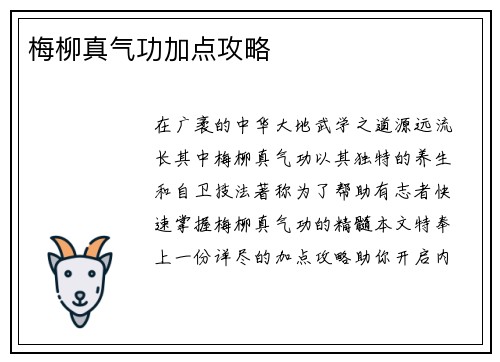 梅柳真气功加点攻略